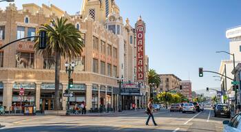 Fox Theater featuring a city, heritage elements and signage
