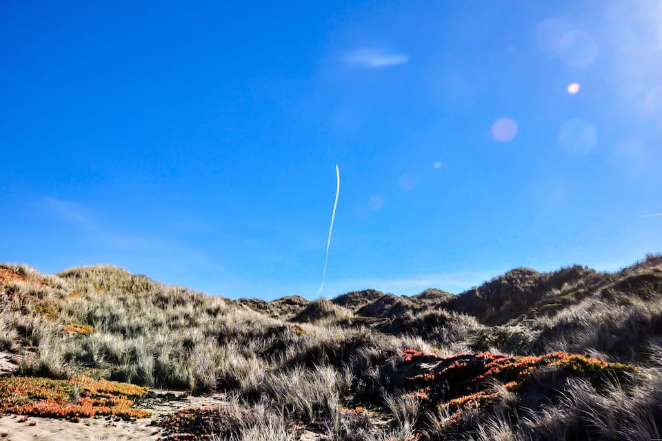 A coastal landscape with grassy dunes and red vegetation under a clear blue sky.