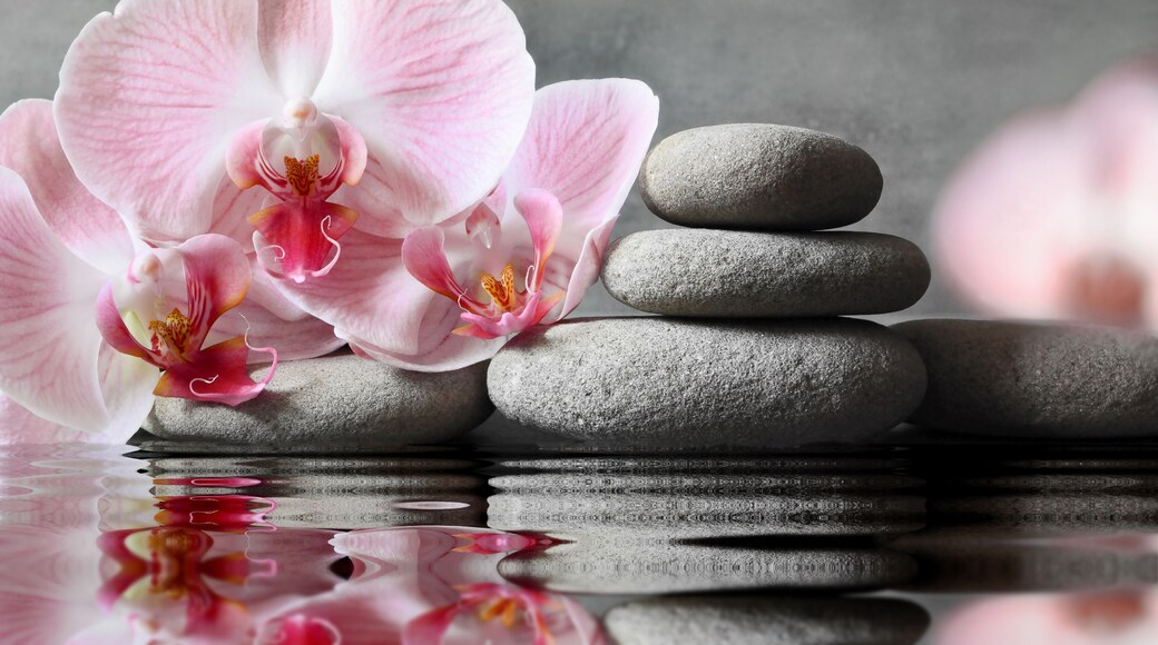 Spa & Làm đẹp Orchid