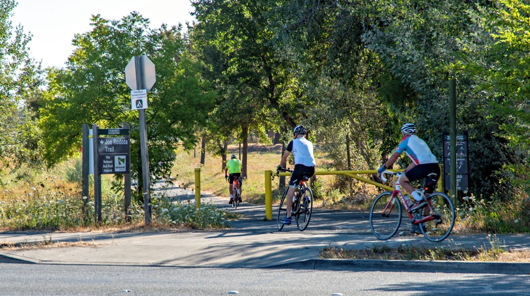 SantaRosa_JoeRodotaTrailatSonomaCountyParks_553248621532640690_05