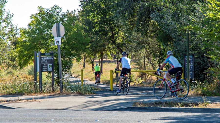 索诺玛县公园乔·罗多塔步道