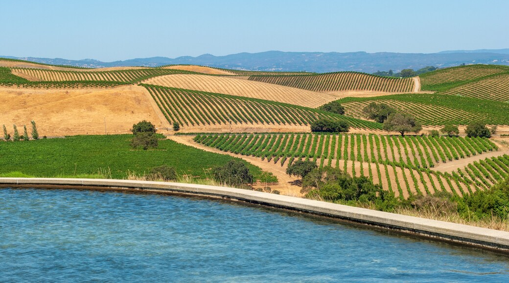 Russian Hill Estate Vineyards