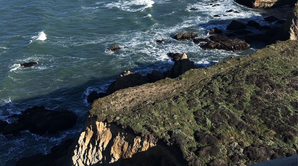 Point Arena Lighthouse. Wonderful little lighthouse preserved by volunteers.