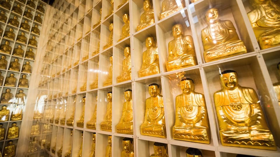 A collection of golden Buddha statues in glass display cases.