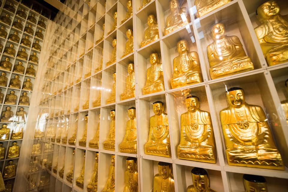 A collection of golden Buddha statues in glass display cases.