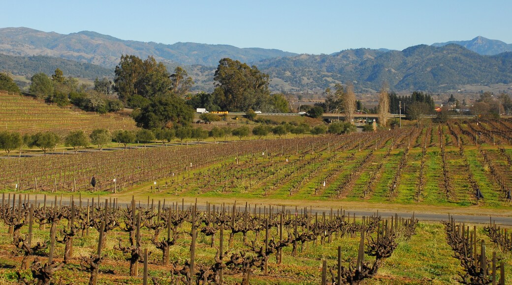 Francis Ford Coppola Winery