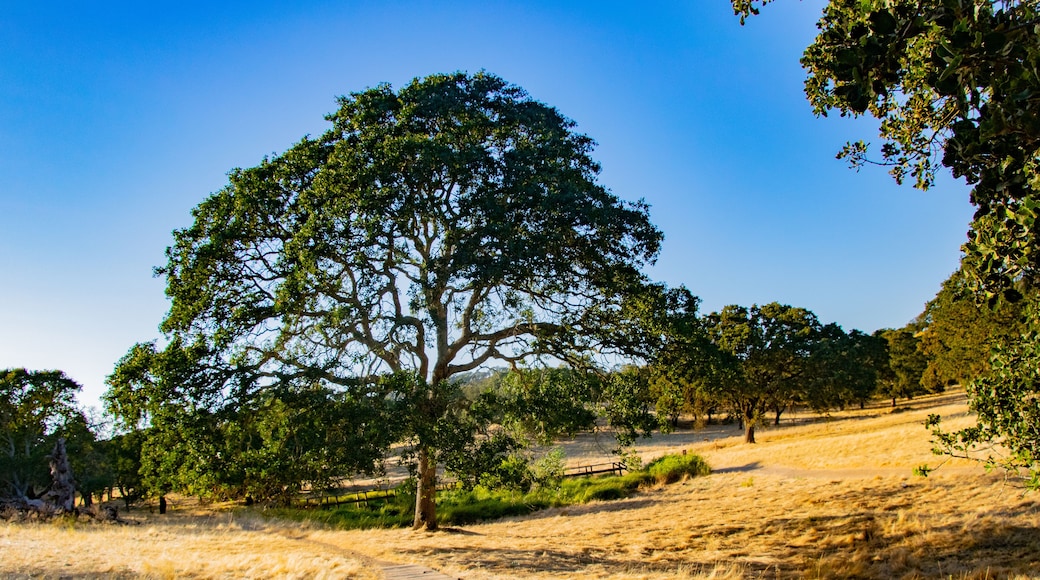 록스빌 힐스 지역공원