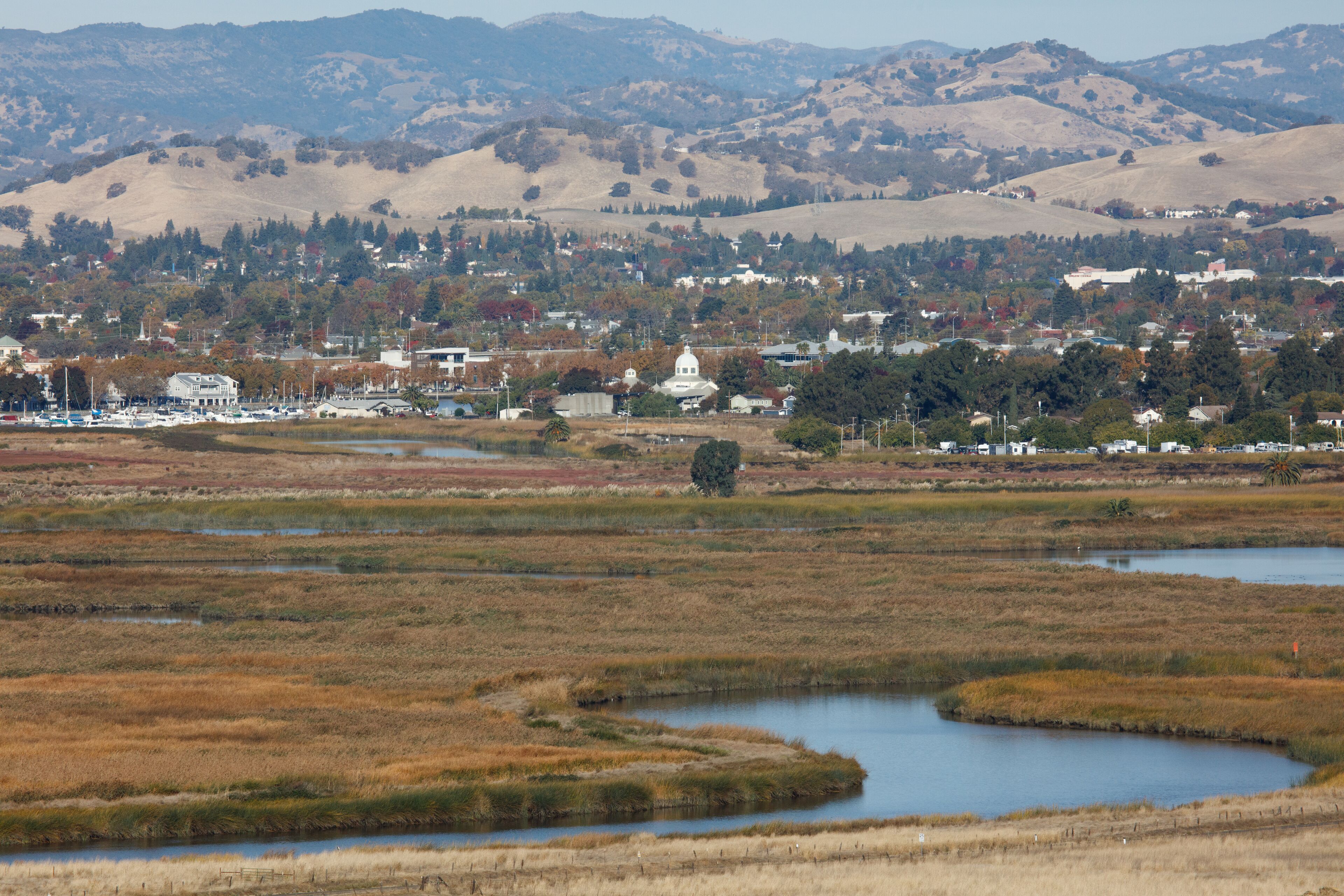 An image of the marshland in Suisun City, California. The dome of the Suisun City city hall can be seen in the background.