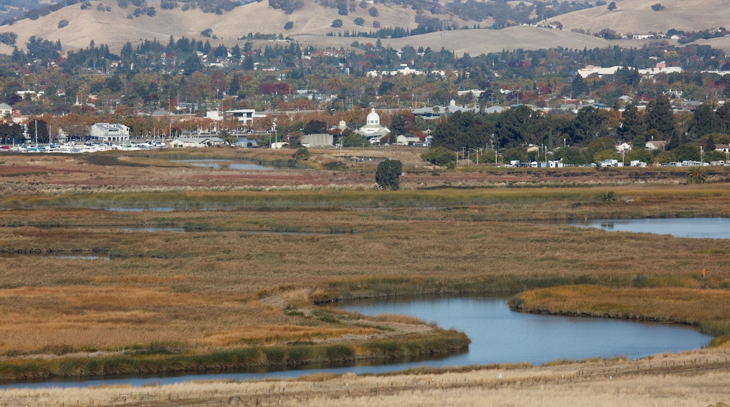 Puerto deportivo de Suisun City