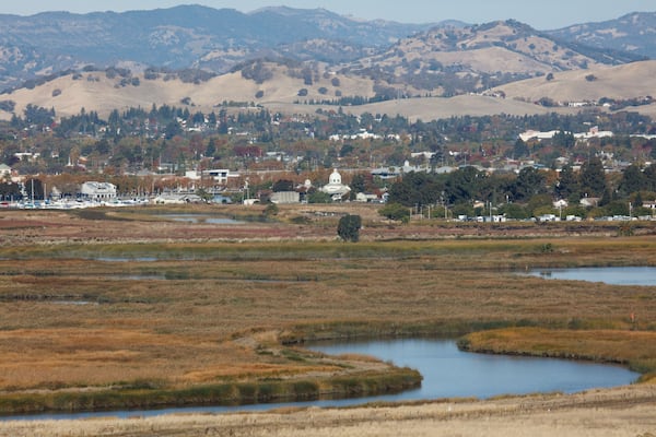 An image of the marshland in Suisun City, California. The dome of the Suisun City city hall can be seen in the background.