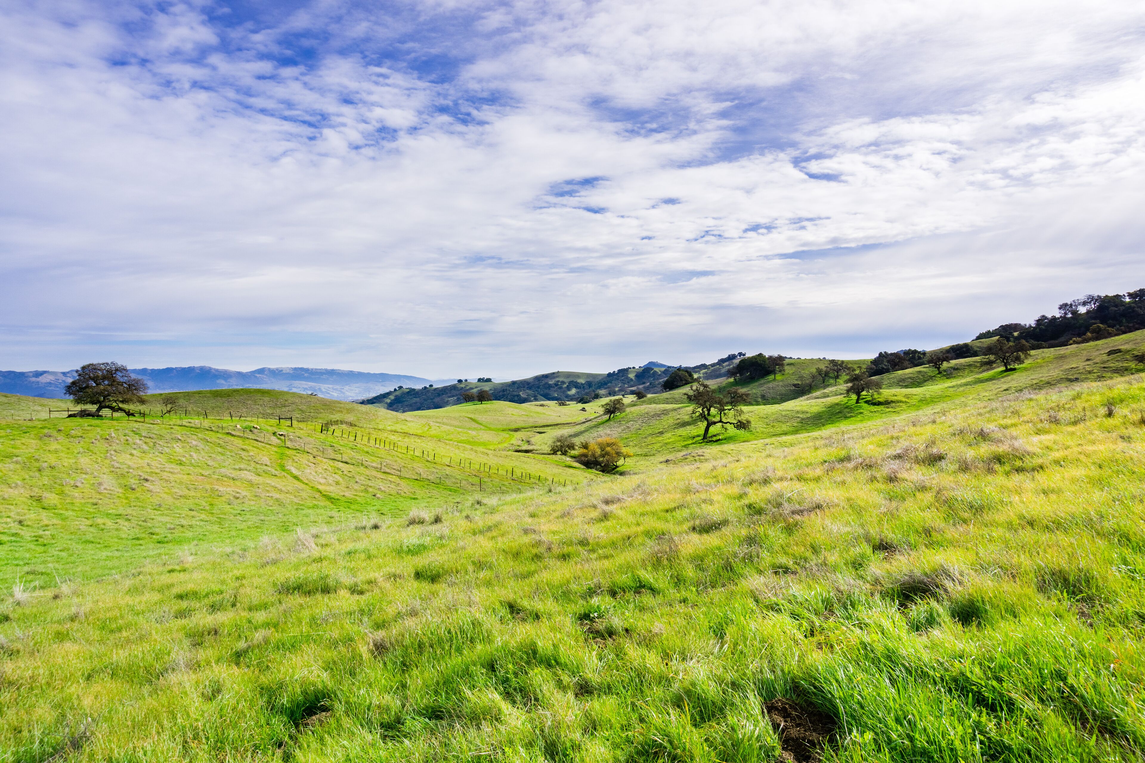 Panoramic view over the hills and valley of Coyote Valley Open Space Preserve, Morgan Hill, south San Francisco bay area, California