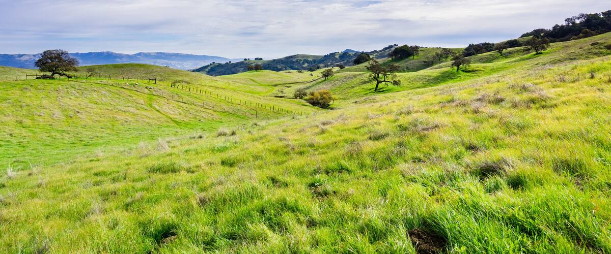 Panoramic view over the hills and valley of Coyote Valley Open Space Preserve, Morgan Hill, south San Francisco bay area, California