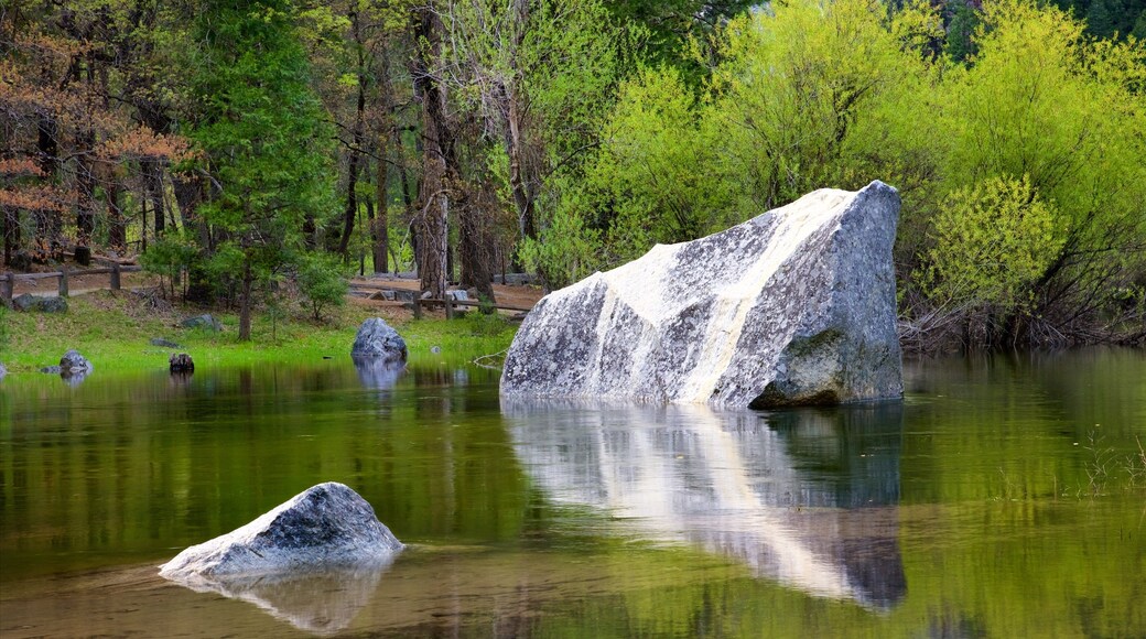 Parc national de Yosemite qui includes un lac ou un point d’eau