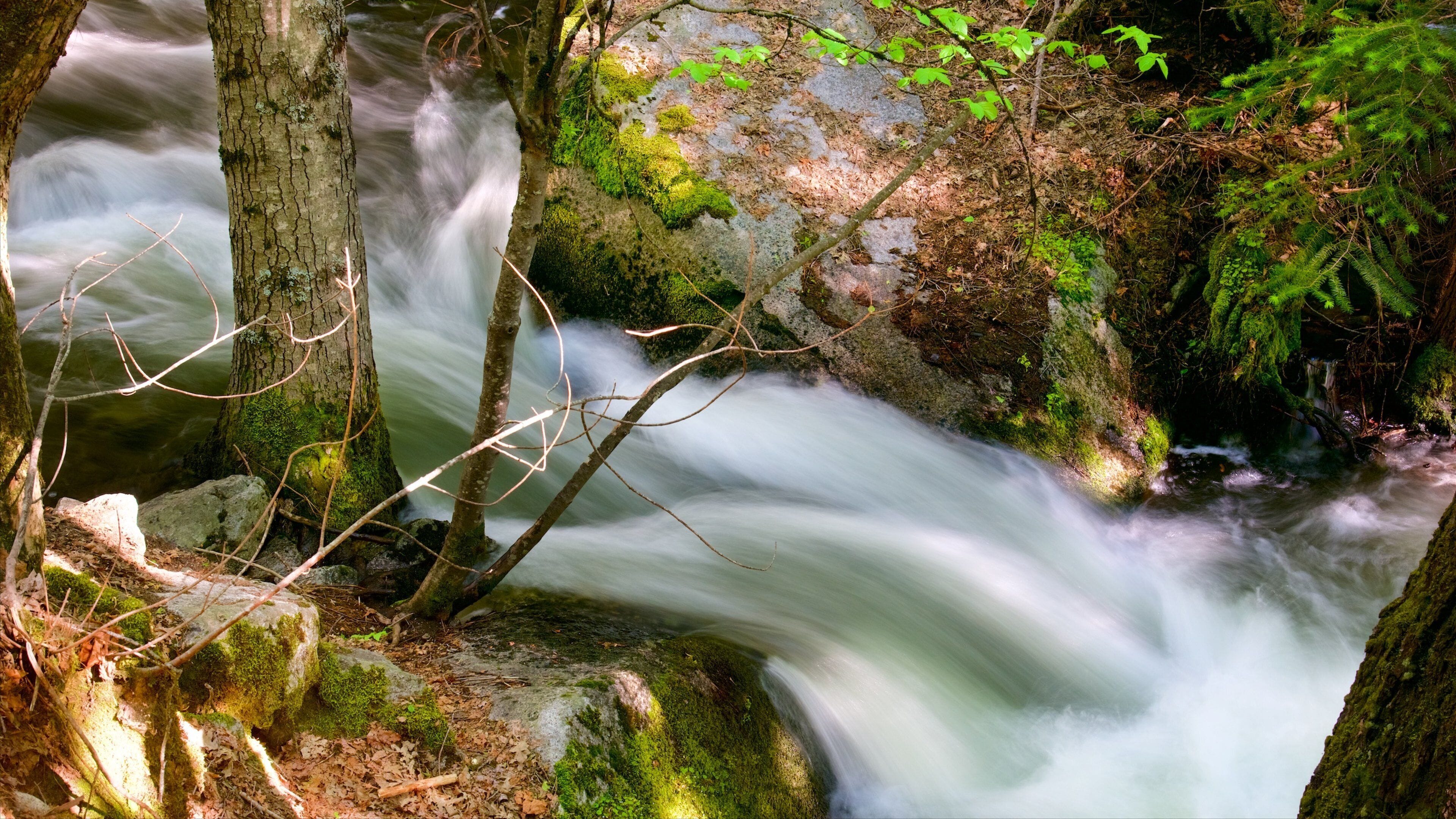 Mirror Lake showing a river or creek