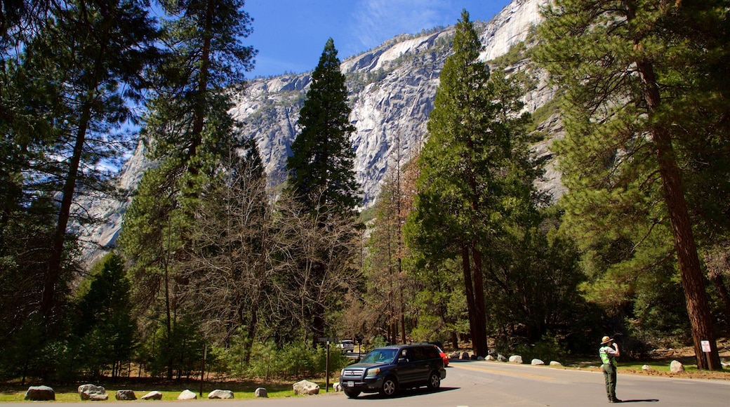 Yosemite Lodge Amphitheater which includes forests and mountains