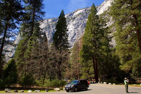 Yosemite Lodge Amphitheater mit einem Wälder und Berge