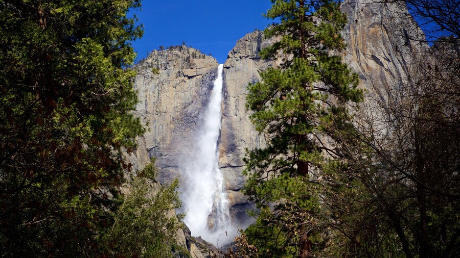 Yosemite Lodge Amphitheater