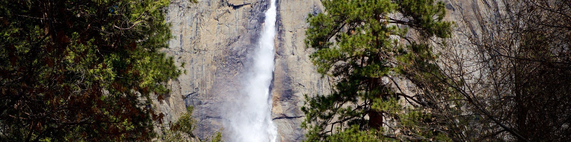 Yosemite Lodge Amphitheater que inclui cenas de floresta e uma cascata