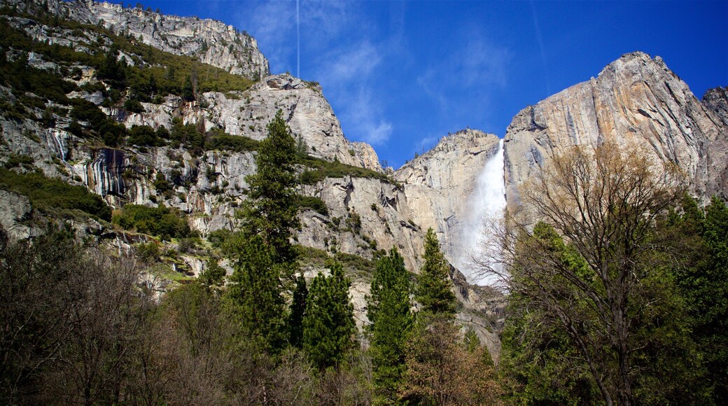 Yosemite Lodge Amphitheater 设有 瀑布 和 山