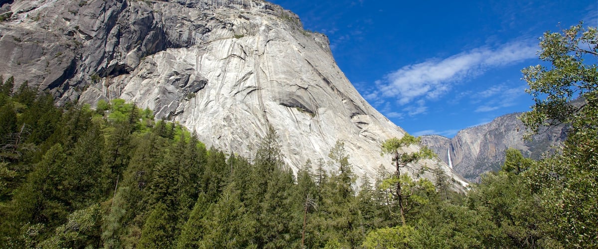 Mist Trail どの含み 渓谷あるいは峡谷