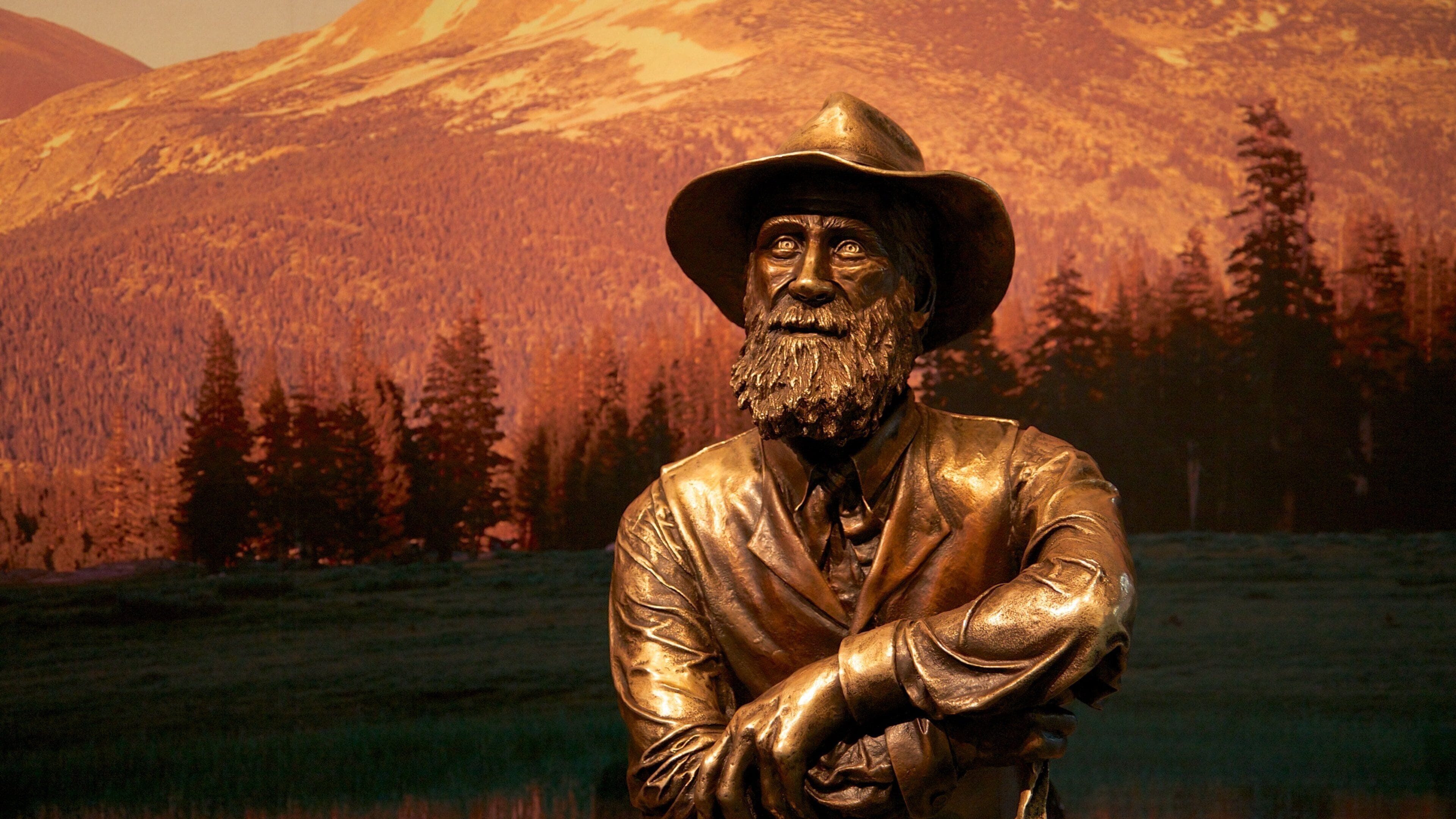 Mist Trail featuring patsas tai veistos