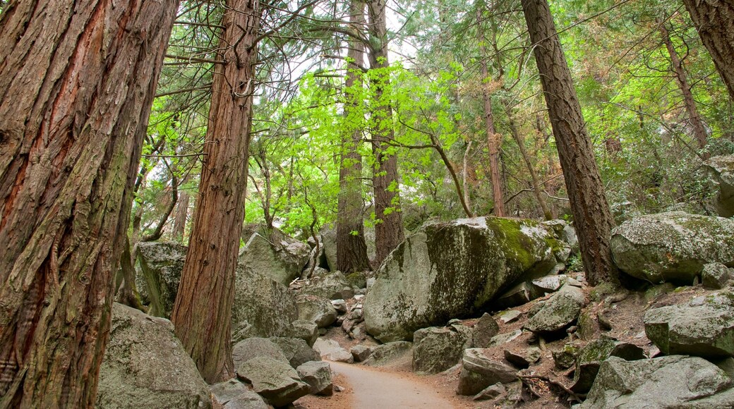 Yosemite National Park