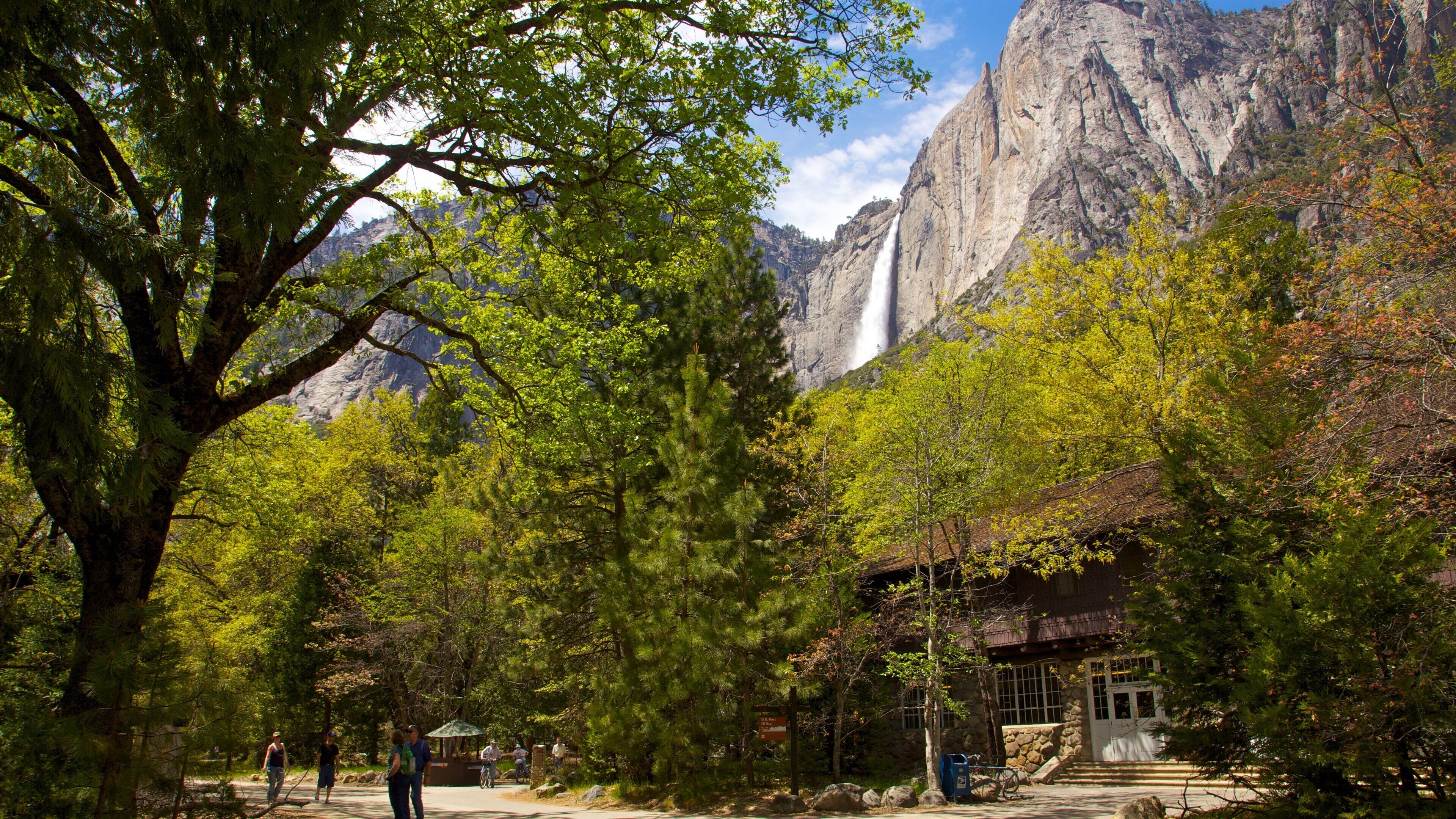A forested area with a waterfall, a mountain, and a building.