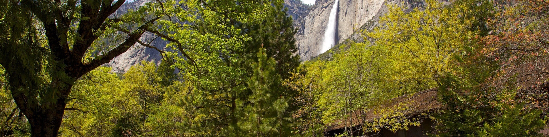 Uma área arborizada com uma cachoeira, uma montanha e um edifício.