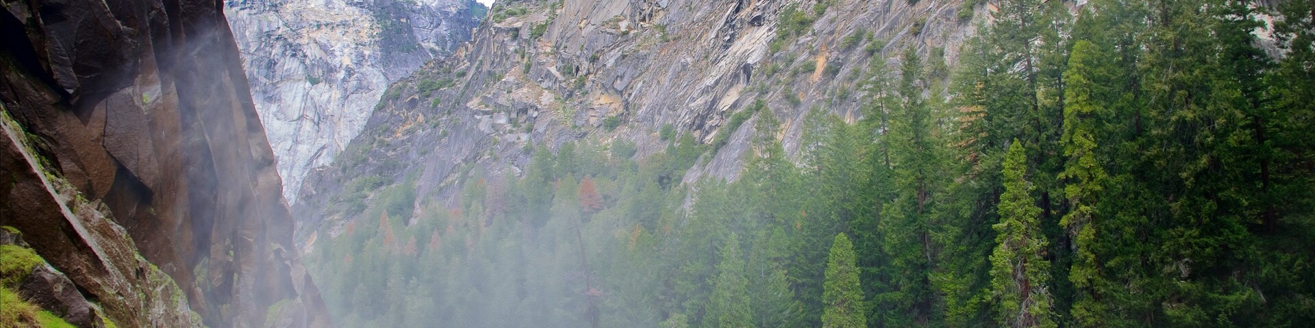Yosemite National Park showing tranquil scenes, forest scenes and mountains
