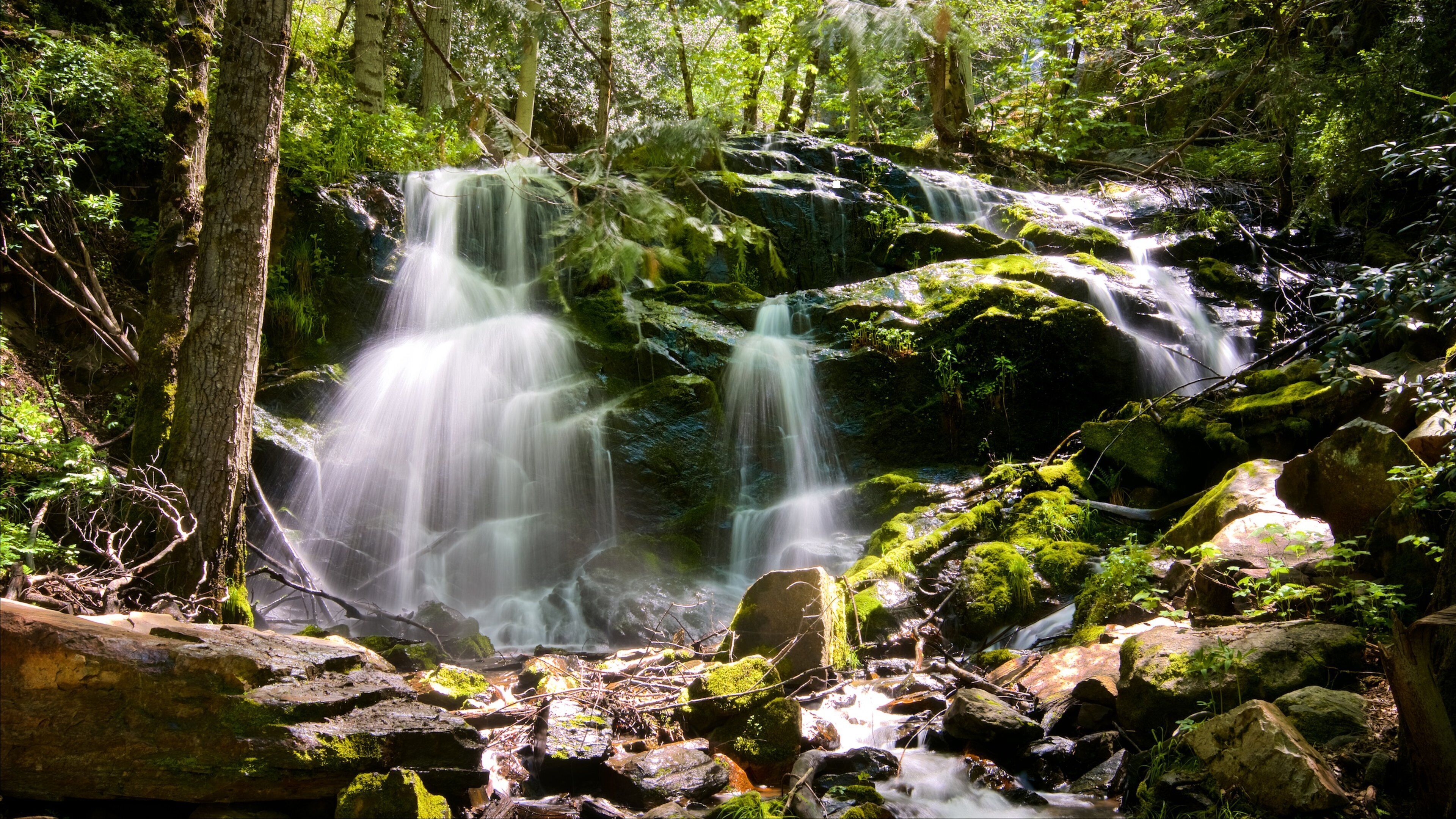 Sequoia National Park