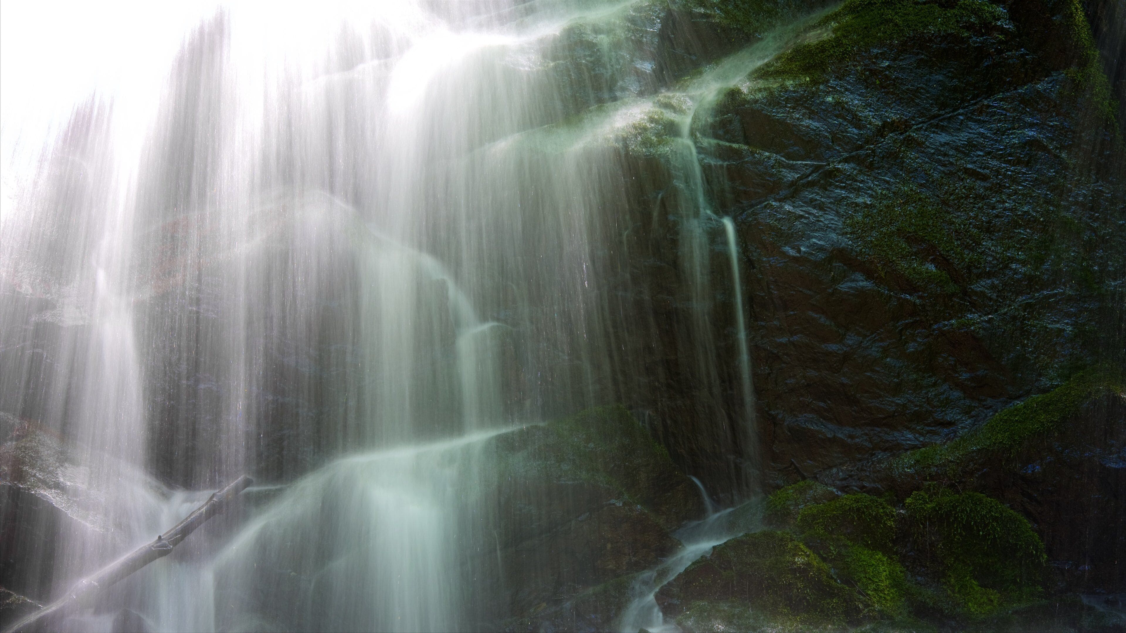 Sequoia National Park featuring a cascade
