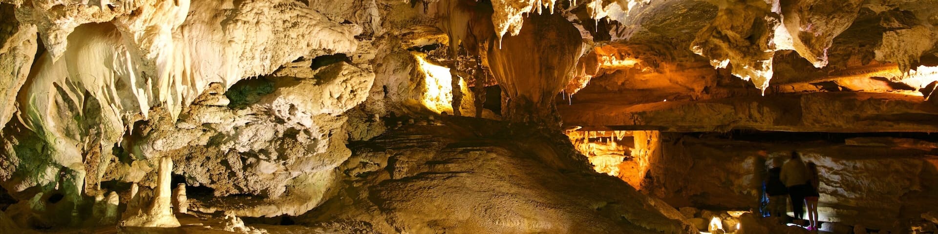 Sequoia National Park which includes caving