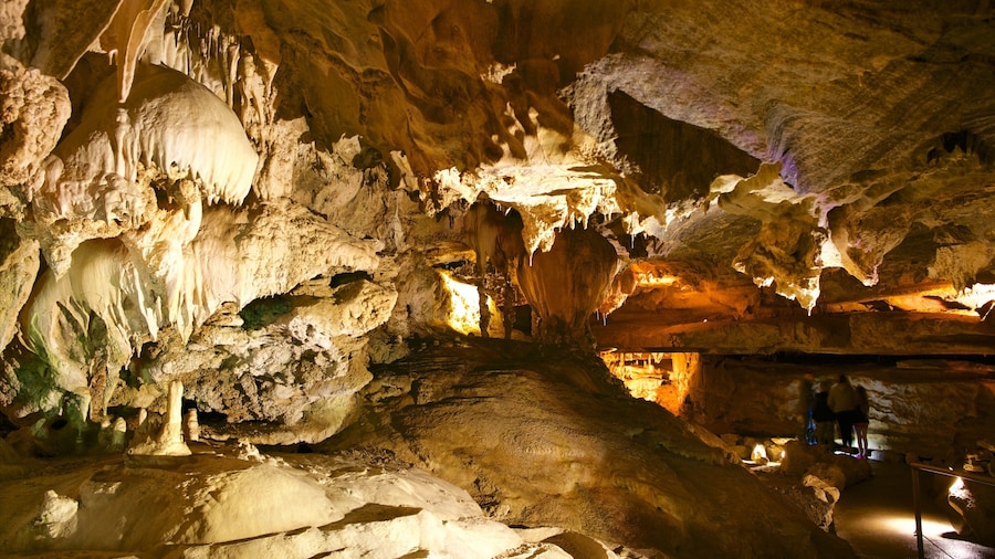 Sequoia National Park som omfatter huleforskning