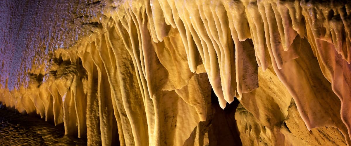 Sequoia National Park featuring caving