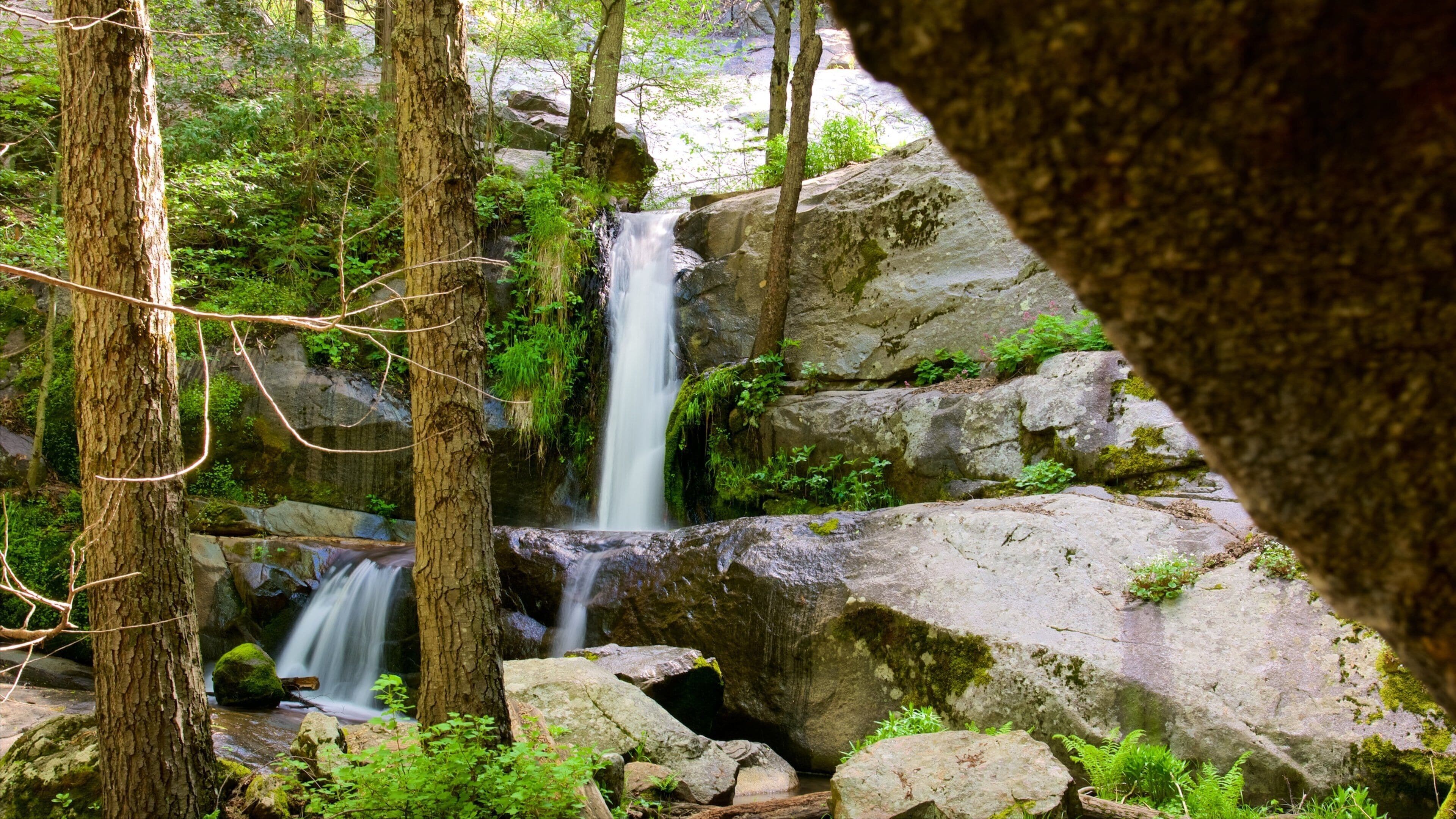 Crystal Cave som viser skoglandskap og vannfall
