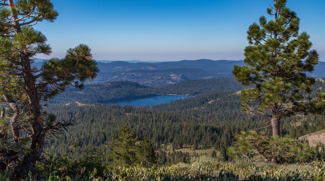 Early Morning View of Lake Alpine, Arnold, California