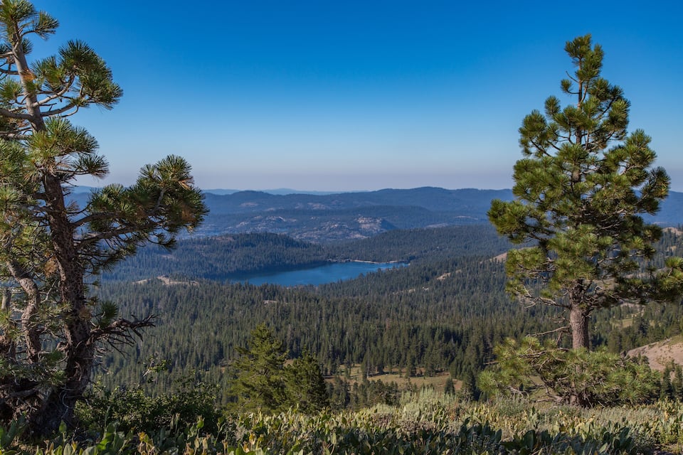 Un paysage montagneux avec un lac entouré de forêts denses et de pins.
