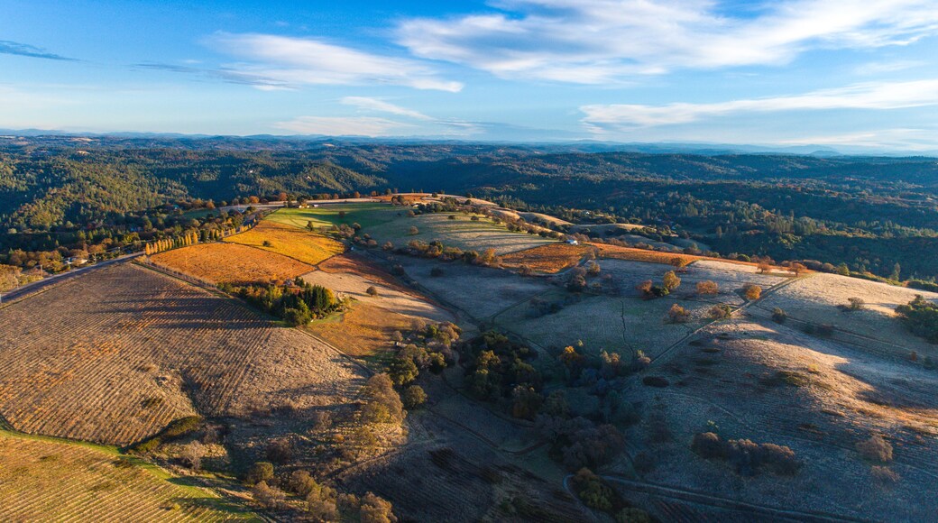 Aerial of a vineyard in the foothills of Jackson