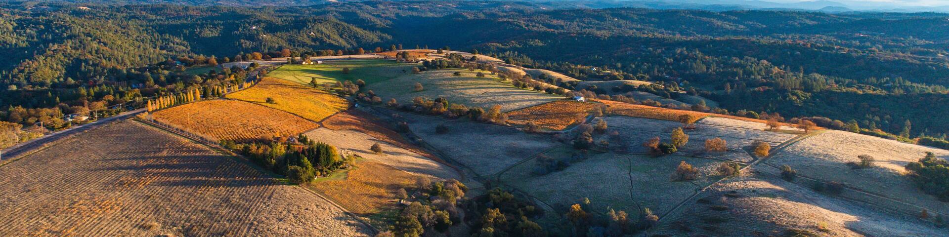 Aerial of a vineyard in the foothills of Jackson