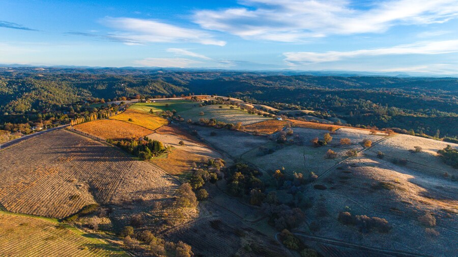 Aerial of a vineyard in the foothills of Jackson