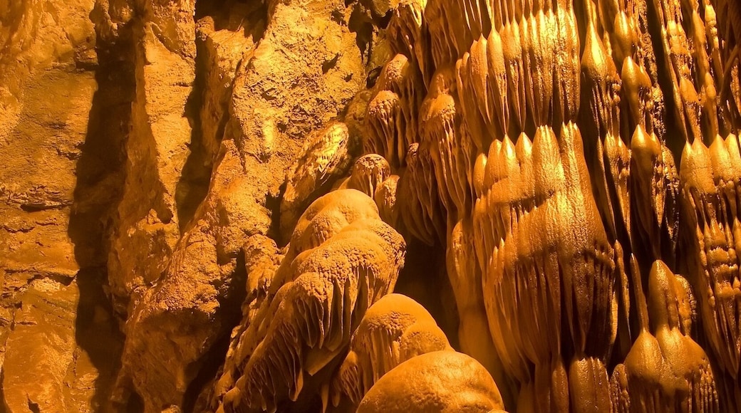 Moaning Caverns Adventure Park