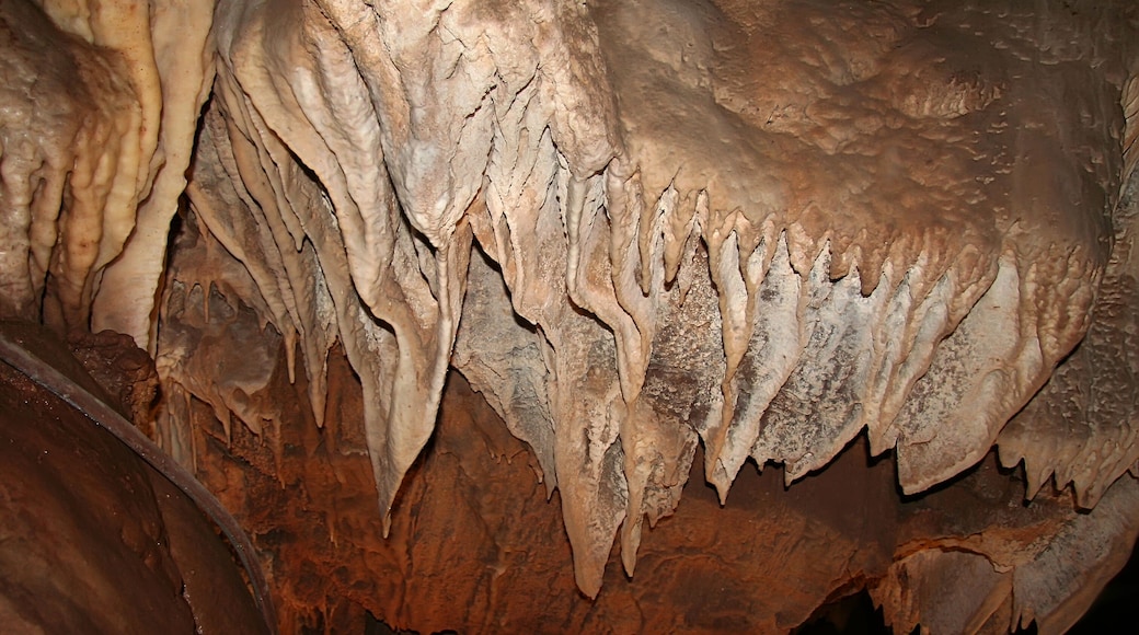 Cavernes de Mercer