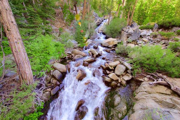 Södra Lake Tahoe presenterar forsar och skogar