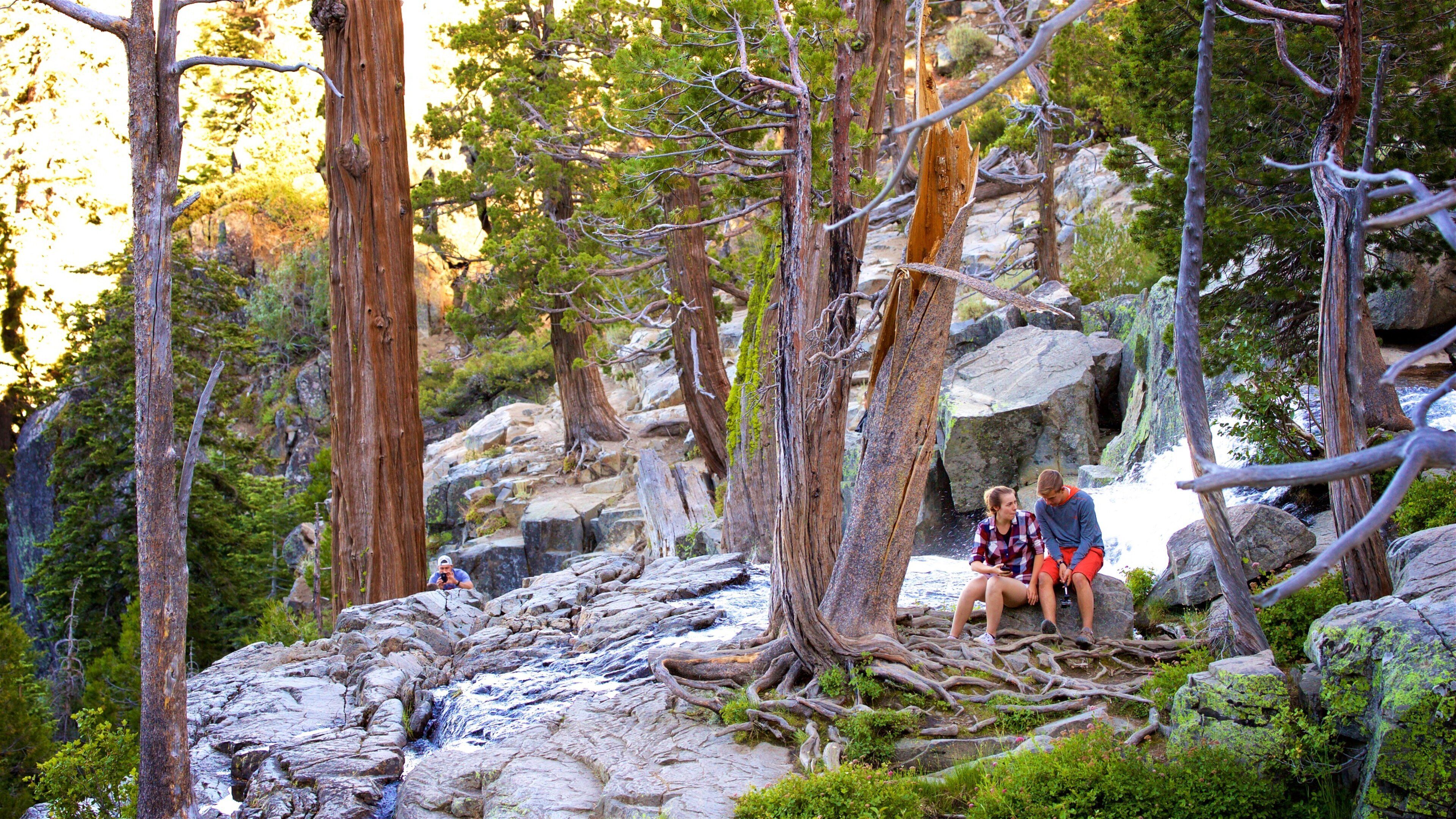 South Lake Tahoe featuring forests and a river or creek as well as a couple