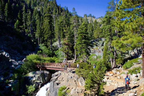 Södra Lake Tahoe som inkluderar vandring, en bro och skogslandskap