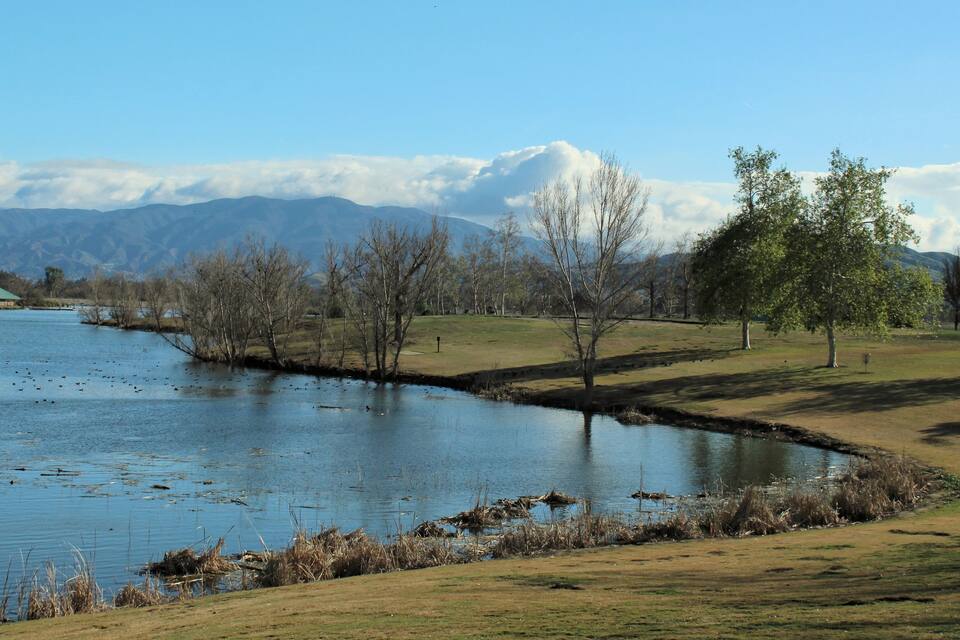 Um lago com patos, árvores e montanhas ao fundo.