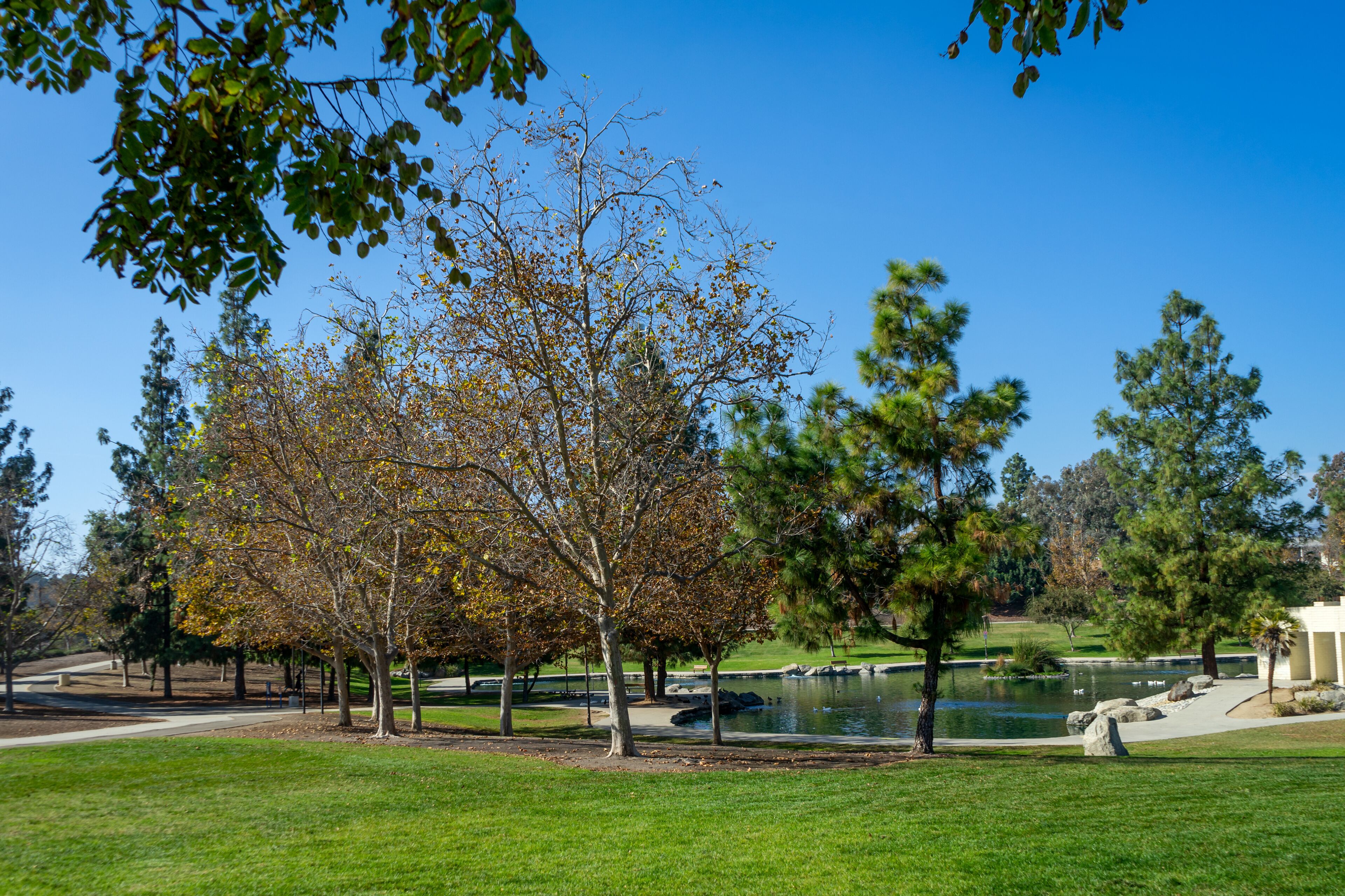 Red Hill city park in Rancho Cucamonga, California