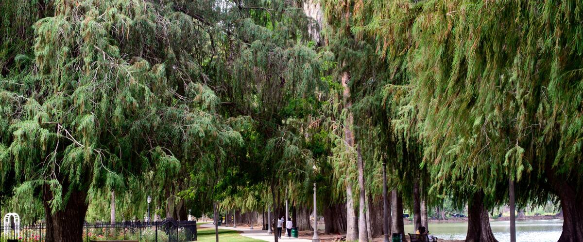 A walkway in the Fairmount park, downtown Riverside