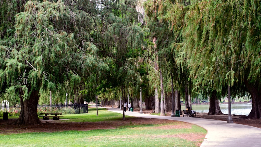 A walkway in the Fairmount park, downtown Riverside