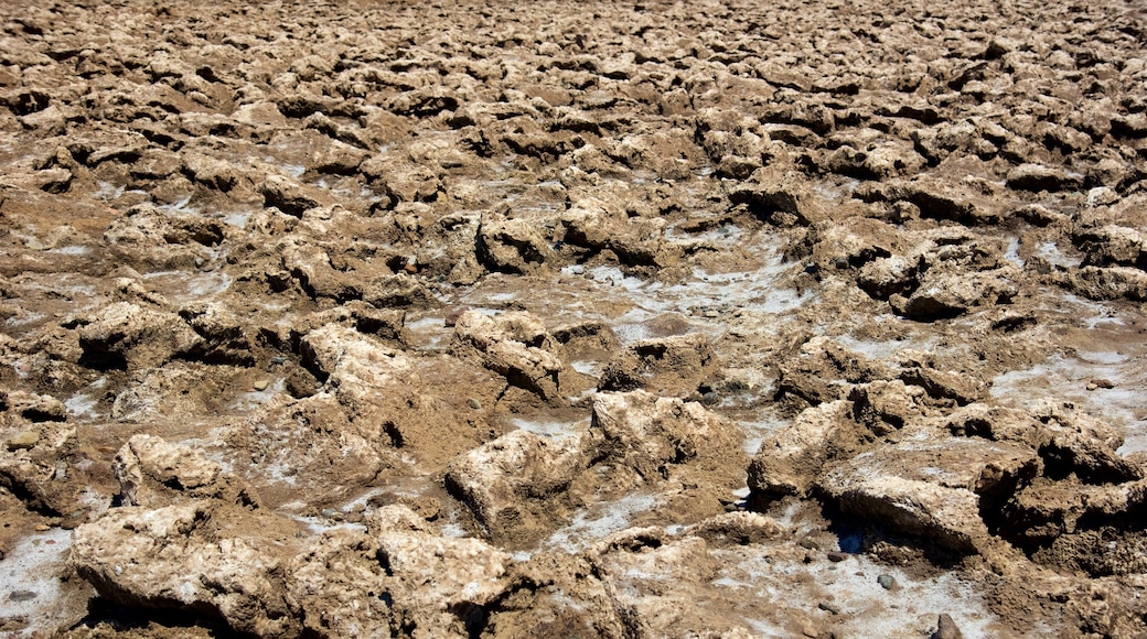 Devil\'s Golf Course which includes desert views